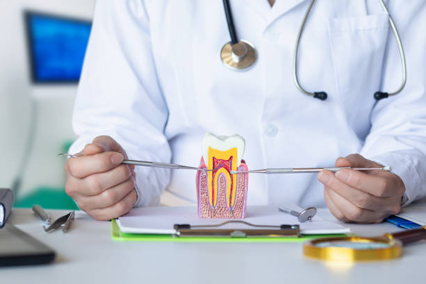 Best Same-Day Emergency Dental Services in Paden City, WV